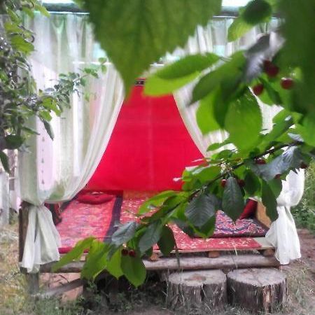 Guest House Dinara Kaji-Say Exterior photo