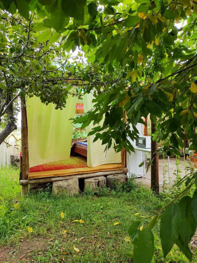 Guest House Dinara Kaji-Say Exterior photo