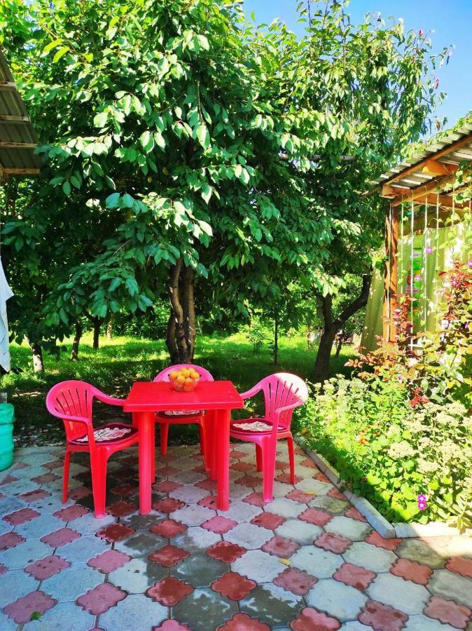 Guest House Dinara Kaji-Say Exterior photo